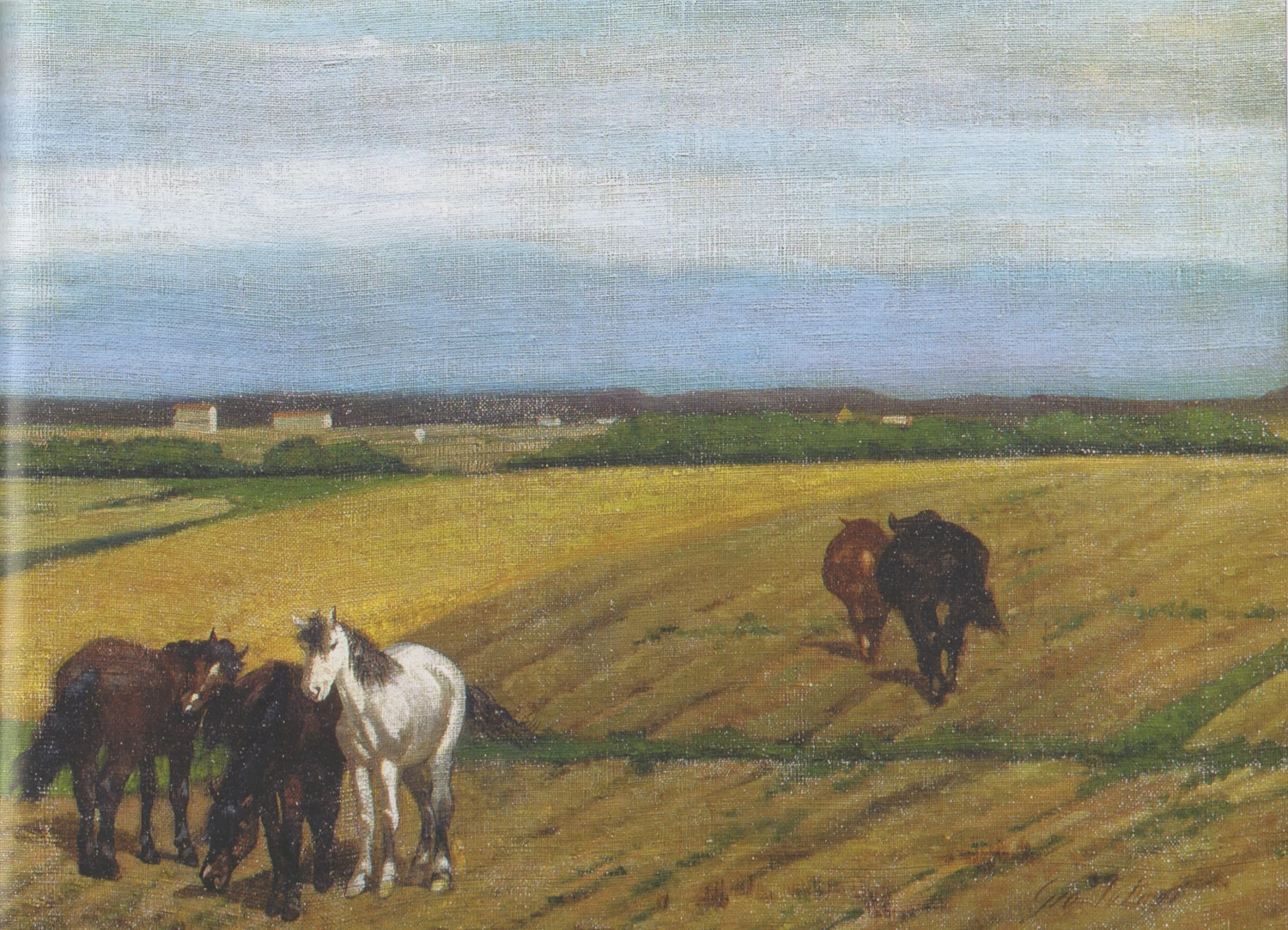 Pasture in Maremma - dettaglio